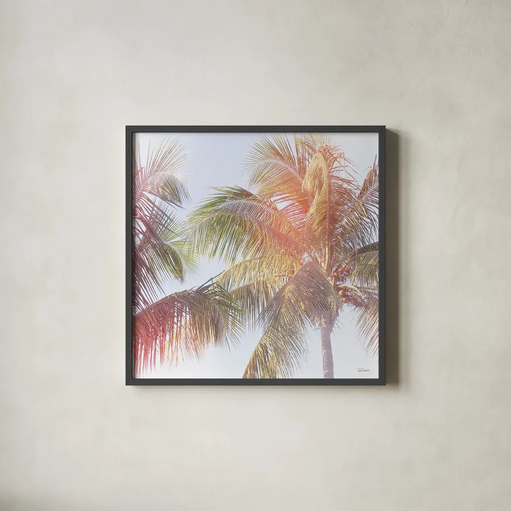 Dream Palm III by Sue Schlabach. Shown in a sleek black glass frame for a contemporary gallery look. Available as an archival giclee rolled canvas, fine art paper, or poster print. SKU 34380a.