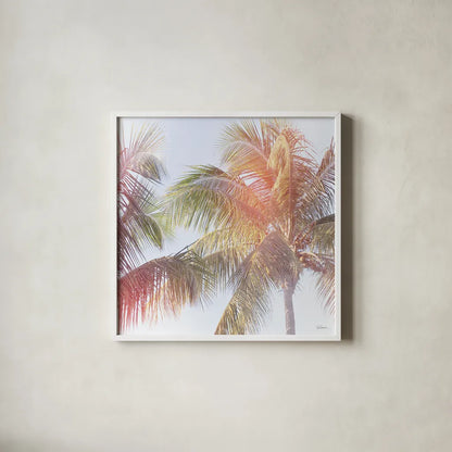 Dream Palm III by Sue Schlabach. Shown in a crisp white glass frame for a clean and minimalist style. Available as an archival giclee rolled canvas, fine art paper, or poster print. SKU 34380a.