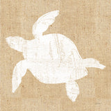 Driftwood Coast III White Burlap by Sue Schlabach. SKU 61118a. Archival Giclee Fine art print for wall decor.
