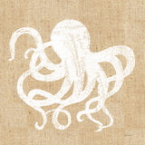 Driftwood Coast IV White Burlap by Sue Schlabach. SKU 61119a. Archival Giclee Fine art print for wall decor.