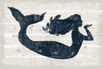 Driftwood Coast IX Blue by Sue Schlabach. SKU 62606i. Archival Giclee Fine art print for wall decor.