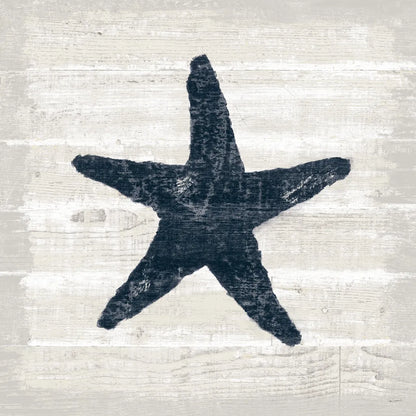 Driftwood Coast V Blue by Sue Schlabach. SKU 62602a. Archival Giclee Fine art print for wall decor.