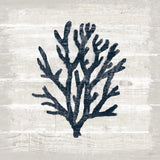 Driftwood Coast VII Blue by Sue Schlabach. SKU 62604a. Archival Giclee Fine art print for wall decor.
