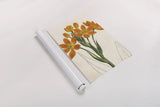 Euphorbia Botany No Words by Sue Schlabach. shown as a rolled paper print. Available as archival giclee rolled canvas, fine art paper, or poster print. SKU 44801h.