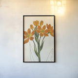 Euphorbia Botany No Words by Sue Schlabach. shown as a paper print in a black flame. Available as a archival giclee rolled canvas, fine art paper, or poster print. SKU 44801h.