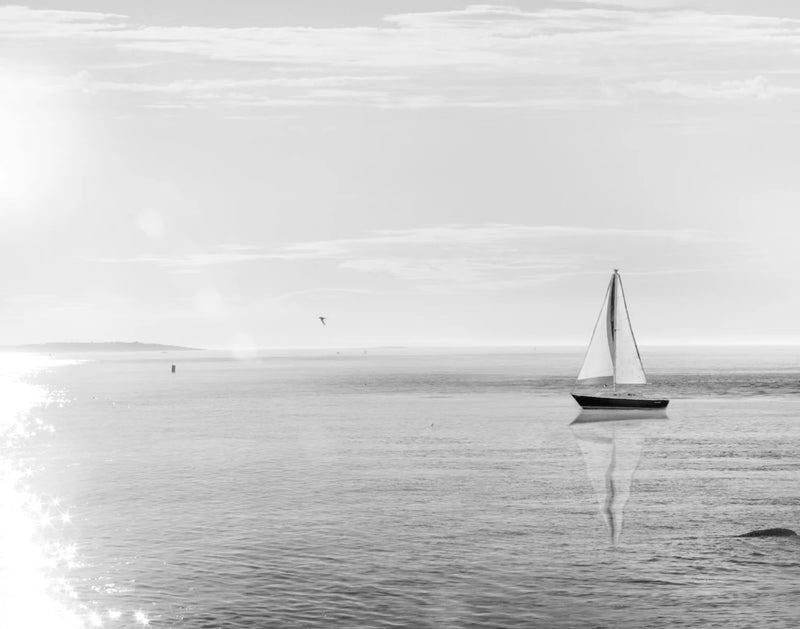 Evening Sail Black and White Crop by Sue Schlabach