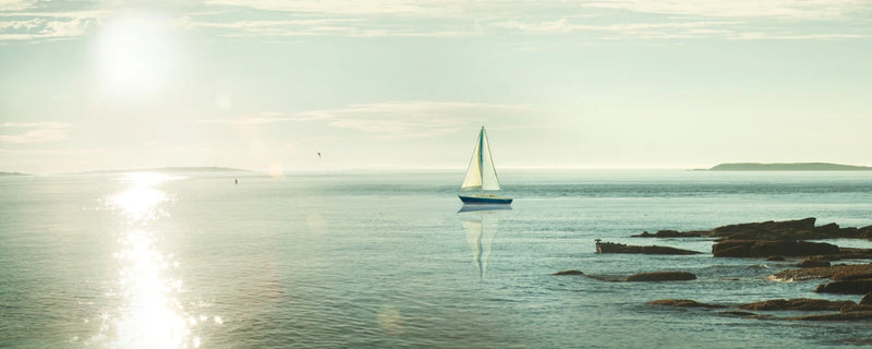 Evening Sail Crop by Sue Schlabach