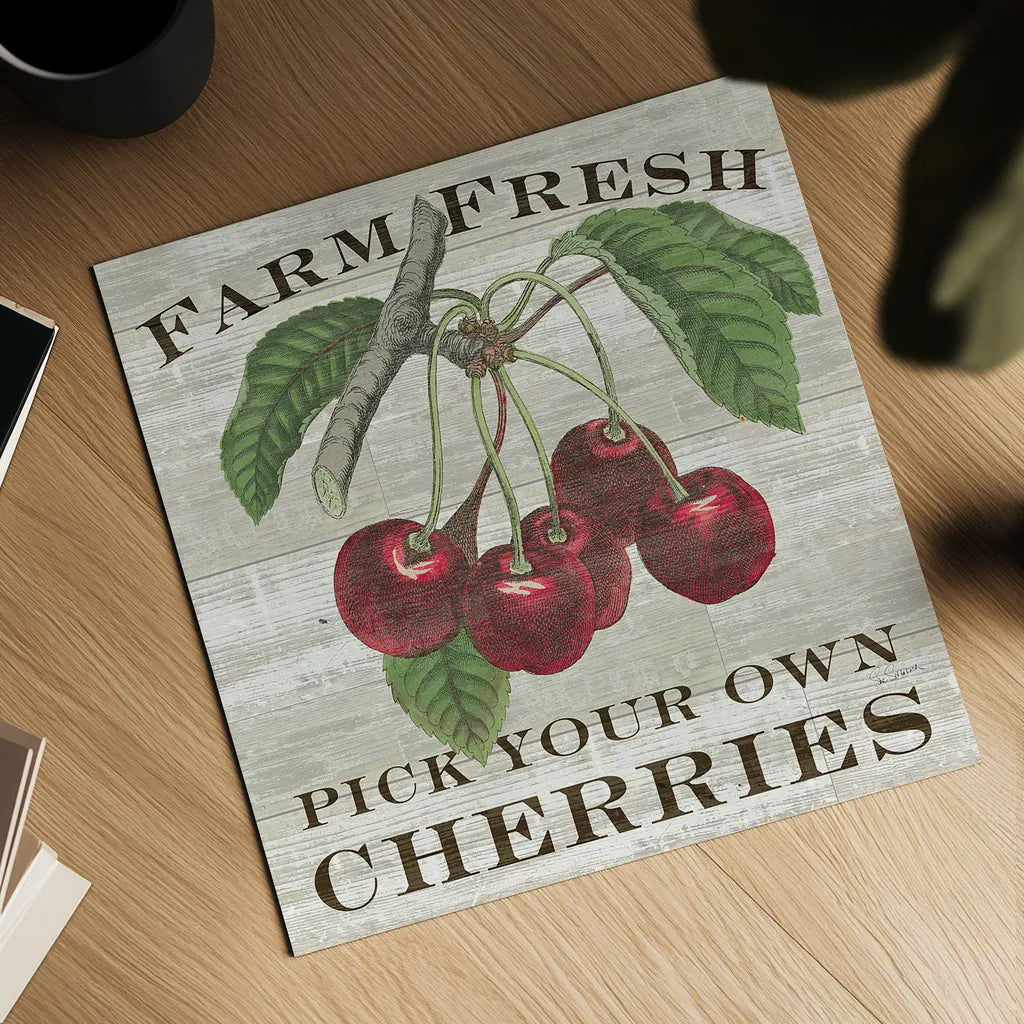 Farm Fresh Cherries Square by Sue Schlabach. Shown as a detailed flat fine art print, highlighting archival giclee quality. Available as an archival giclee rolled canvas, fine art paper, or poster print. SKU 22659a.