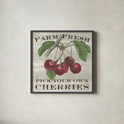 Farm Fresh Cherries Square by Sue Schlabach. Shown in a sleek black glass frame for a contemporary gallery look. Available as an archival giclee rolled canvas, fine art paper, or poster print. SKU 22659a.