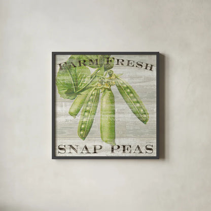 Farm Fresh Peas by Sue Schlabach. Shown in a sleek black glass frame for a contemporary gallery look. Available as an archival giclee rolled canvas, fine art paper, or poster print. SKU 20841a.