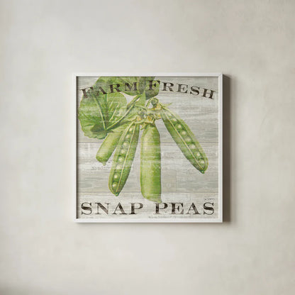 Farm Fresh Peas by Sue Schlabach. Shown in a crisp white glass frame for a clean and minimalist style. Available as an archival giclee rolled canvas, fine art paper, or poster print. SKU 20841a.
