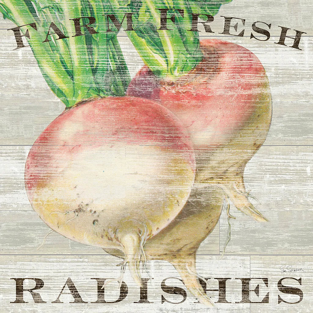 Farm Fresh Radishes by Sue Schlabach. SKU 20839a. Archival Giclee Fine art print for wall decor.
