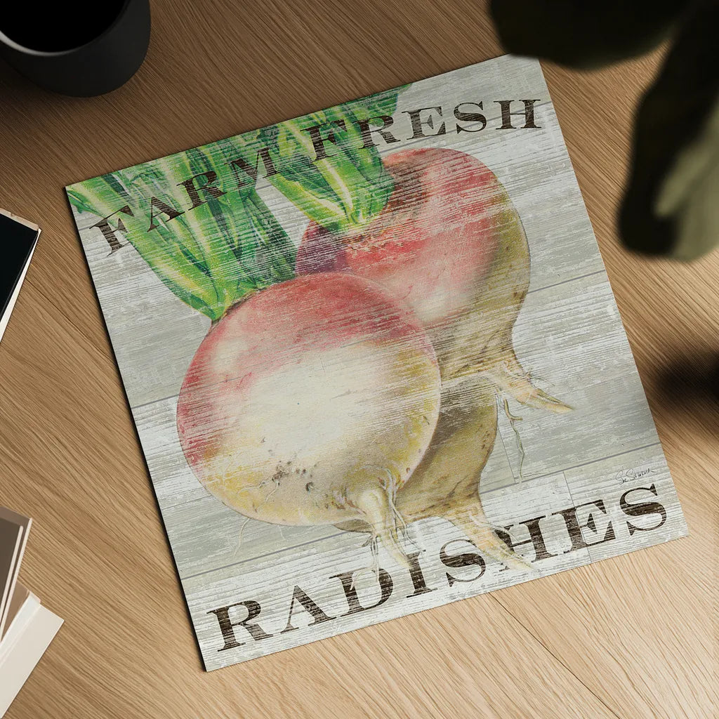 Farm Fresh Radishes by Sue Schlabach. Shown as a detailed flat fine art print, highlighting archival giclee quality. Available as an archival giclee rolled canvas, fine art paper, or poster print. SKU 20839a.