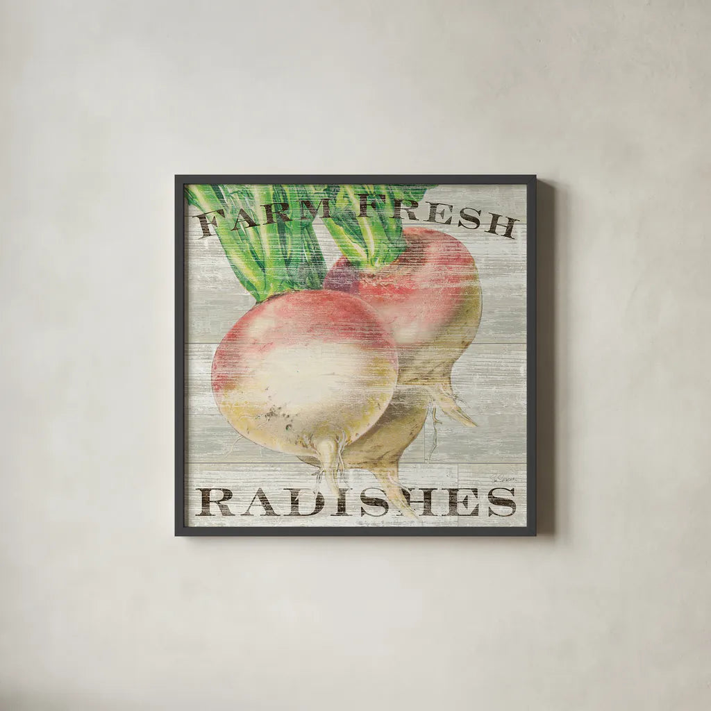 Farm Fresh Radishes by Sue Schlabach. Shown in a sleek black glass frame for a contemporary gallery look. Available as an archival giclee rolled canvas, fine art paper, or poster print. SKU 20839a.