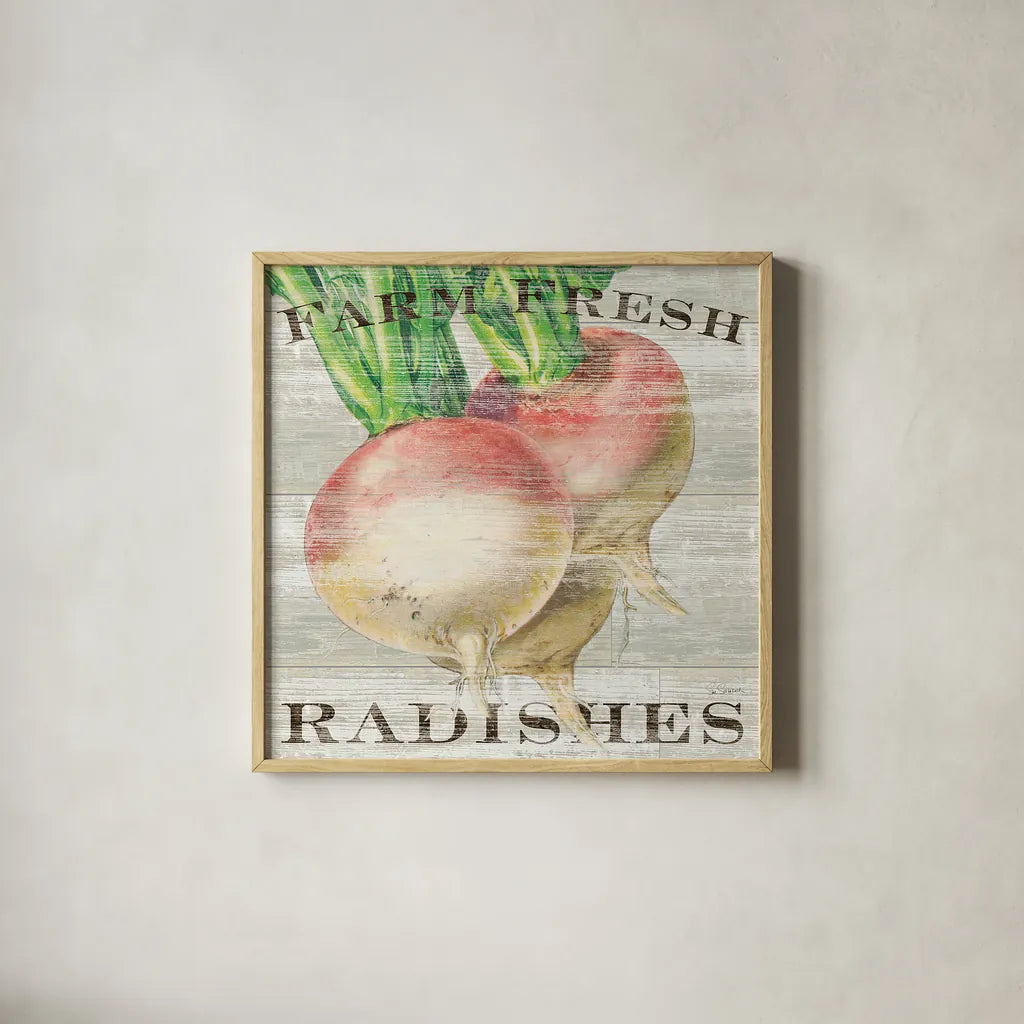 Farm Fresh Radishes by Sue Schlabach. Shown in a natural wood glass frame for a timeless modern aesthetic. Available as an archival giclee rolled canvas, fine art paper, or poster print. SKU 20839a.