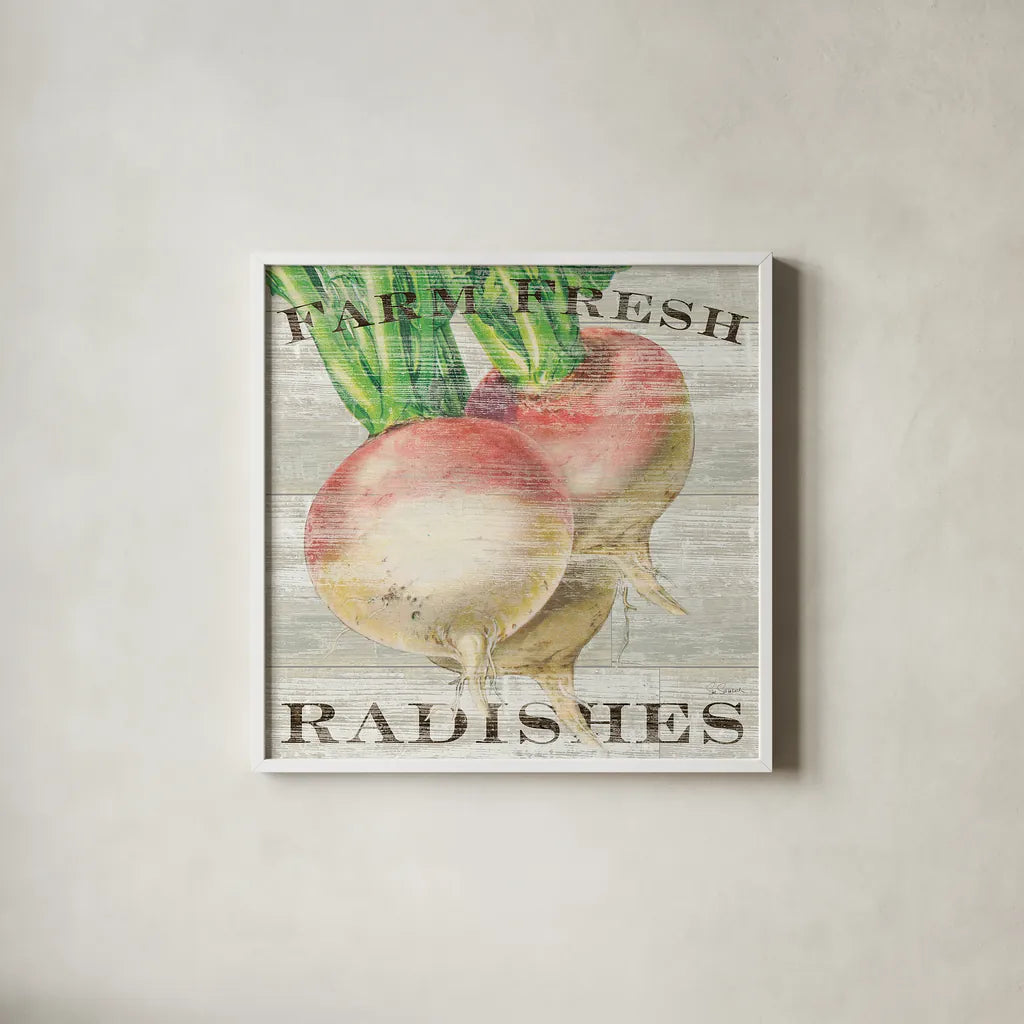 Farm Fresh Radishes by Sue Schlabach. Shown in a crisp white glass frame for a clean and minimalist style. Available as an archival giclee rolled canvas, fine art paper, or poster print. SKU 20839a.
