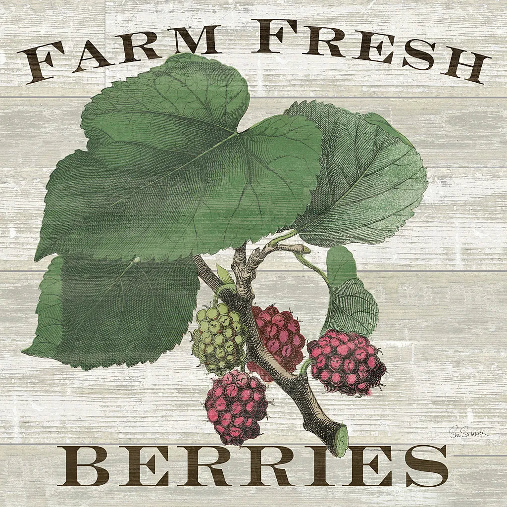 Farm Fresh Raspberries Square by Sue Schlabach. SKU 22660a. Archival Giclee Fine art print for wall decor.