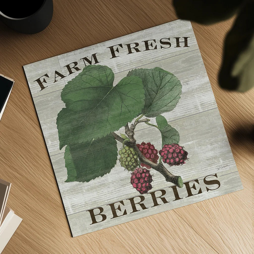 Farm Fresh Raspberries Square by Sue Schlabach. Shown as a detailed flat fine art print, highlighting archival giclee quality. Available as an archival giclee rolled canvas, fine art paper, or poster print. SKU 22660a.
