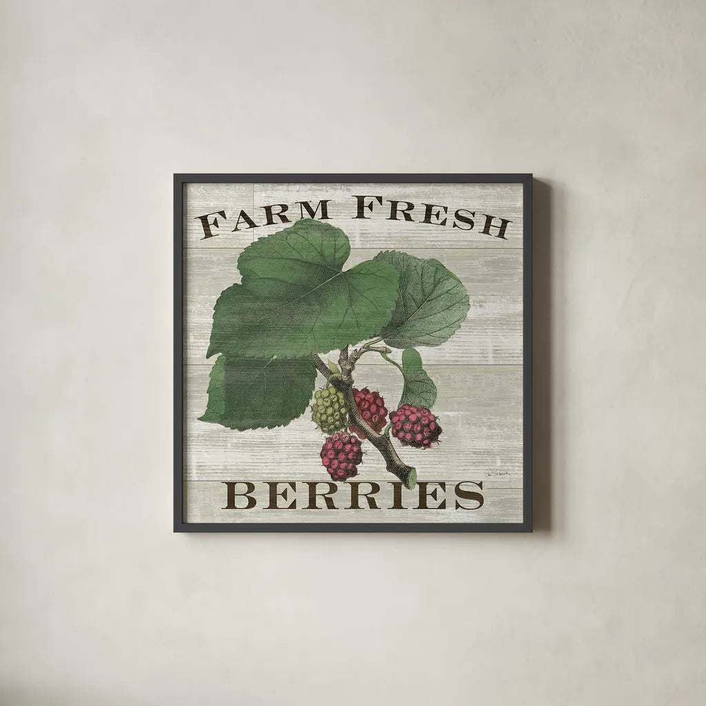 Farm Fresh Raspberries Square by Sue Schlabach. Shown in a sleek black glass frame for a contemporary gallery look. Available as an archival giclee rolled canvas, fine art paper, or poster print. SKU 22660a.