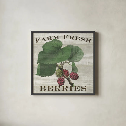 Farm Fresh Raspberries Square by Sue Schlabach. Shown in a sleek black glass frame for a contemporary gallery look. Available as an archival giclee rolled canvas, fine art paper, or poster print. SKU 22660a.