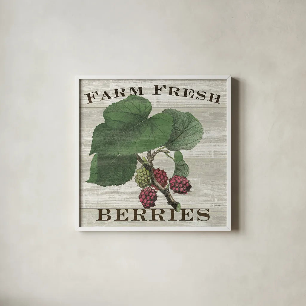 Farm Fresh Raspberries Square by Sue Schlabach. Shown in a crisp white glass frame for a clean and minimalist style. Available as an archival giclee rolled canvas, fine art paper, or poster print. SKU 22660a.