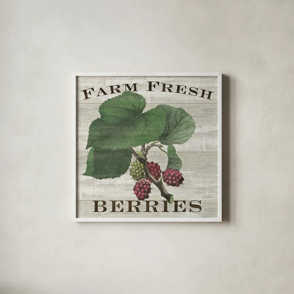 Farm Fresh Raspberries Square by Sue Schlabach. Shown in a crisp white glass frame for a clean and minimalist style. Available as an archival giclee rolled canvas, fine art paper, or poster print. SKU 22660a.