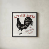 Farm Linen Rooster Black by Sue Schlabach. Shown in a sleek black glass frame for a contemporary gallery look. Available as an archival giclee rolled canvas, fine art paper, or poster print. SKU 25096a.