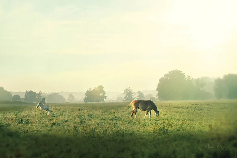 Farm Morning I by Sue Schlabach. SKU 27056i. Archival Giclee Fine art print for wall decor.
