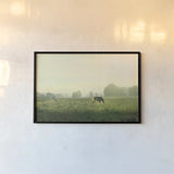 Farm Morning I by Sue Schlabach. shown as a paper print in a black flame. Available as a archival giclee rolled canvas, fine art paper, or poster print. SKU 27056i.