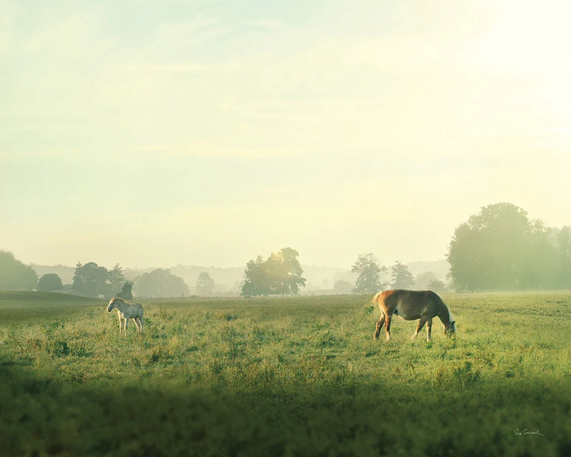 Farm Morning I Crop by Sue Schlabach