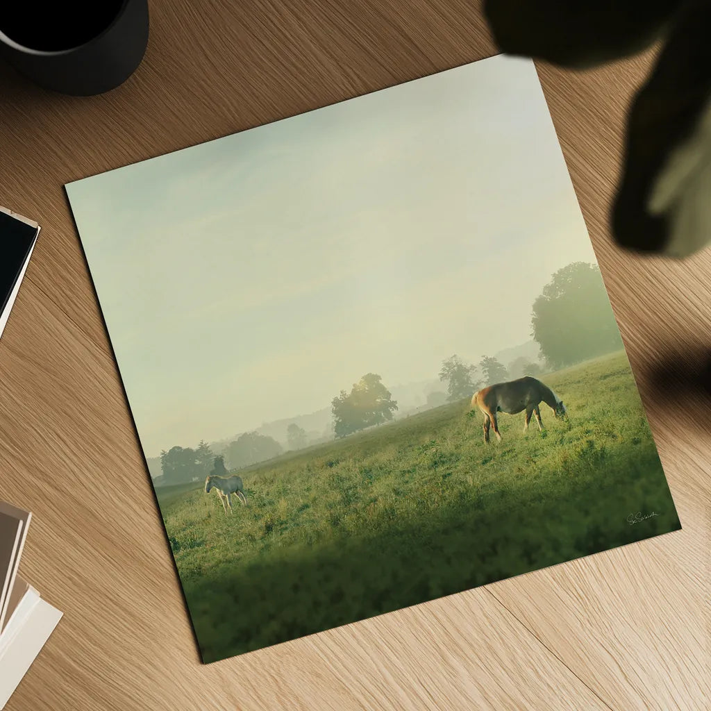 Farm Morning I Square by Sue Schlabach. Shown as a detailed flat fine art print, highlighting archival giclee quality. Available as an archival giclee rolled canvas, fine art paper, or poster print. SKU 27056a.