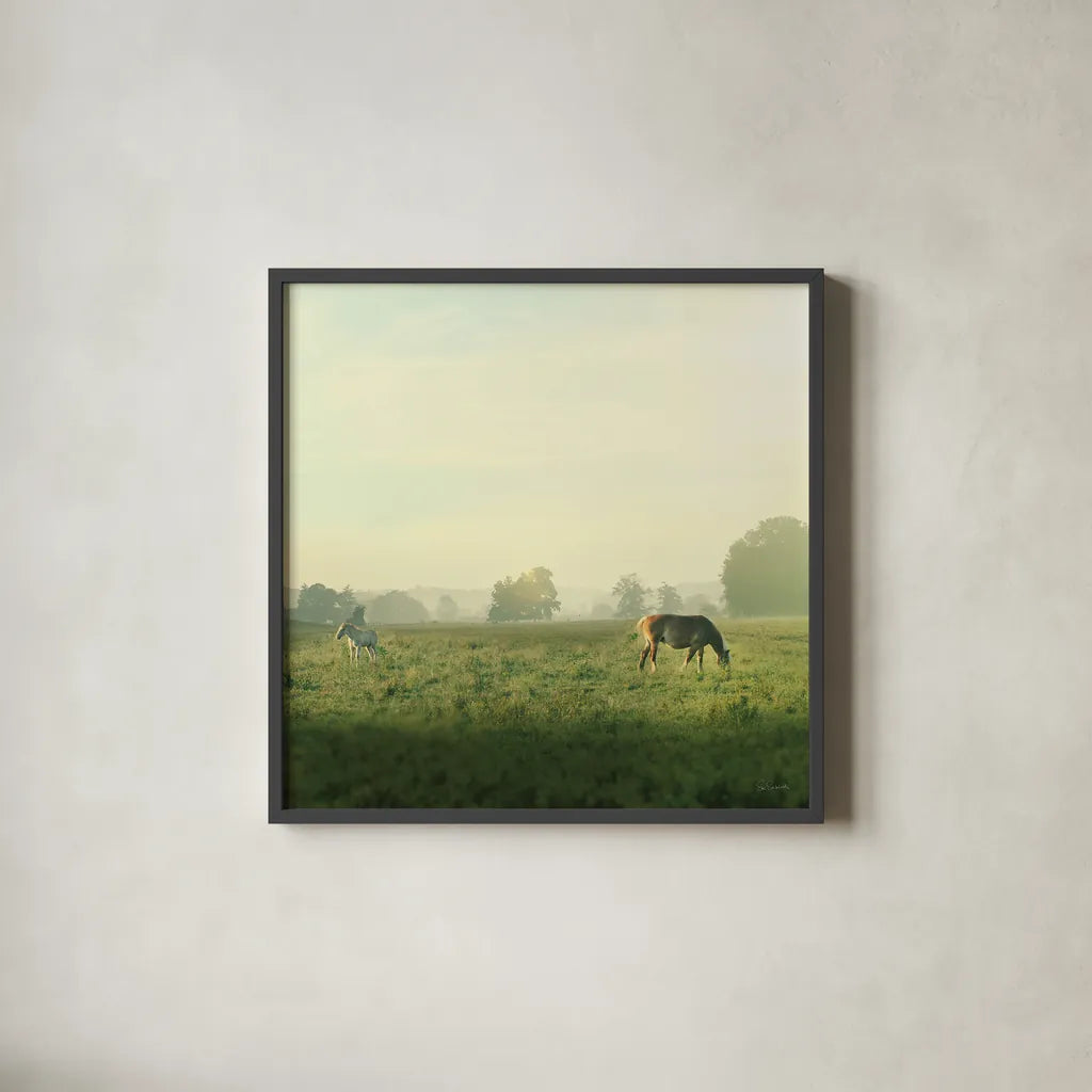 Farm Morning I Square by Sue Schlabach. Shown in a sleek black glass frame for a contemporary gallery look. Available as an archival giclee rolled canvas, fine art paper, or poster print. SKU 27056a.