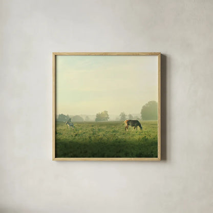 Farm Morning I Square by Sue Schlabach. Shown in a natural wood glass frame for a timeless modern aesthetic. Available as an archival giclee rolled canvas, fine art paper, or poster print. SKU 27056a.