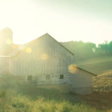 Farm Morning II Square by Sue Schlabach. SKU 27057a. Archival Giclee Fine art print for wall decor.