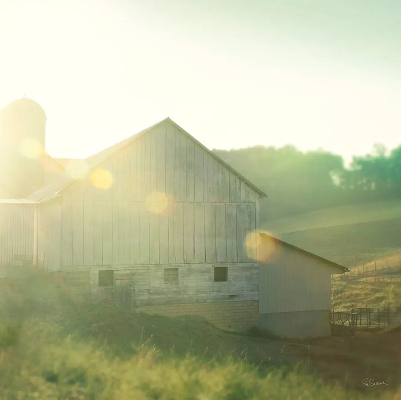 Farm Morning II Square by Sue Schlabach. SKU 27057a. Archival Giclee Fine art print for wall decor.