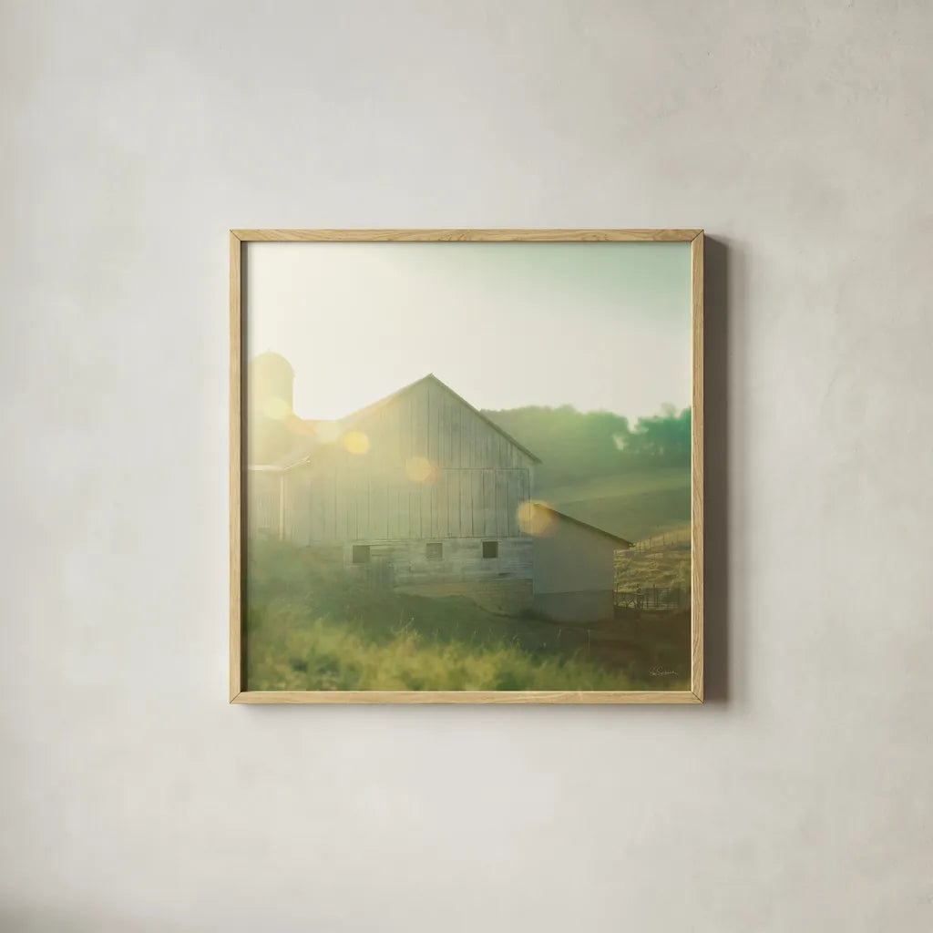 Farm Morning II Square by Sue Schlabach. Shown in a natural wood glass frame for a timeless modern aesthetic. Available as an archival giclee rolled canvas, fine art paper, or poster print. SKU 27057a.