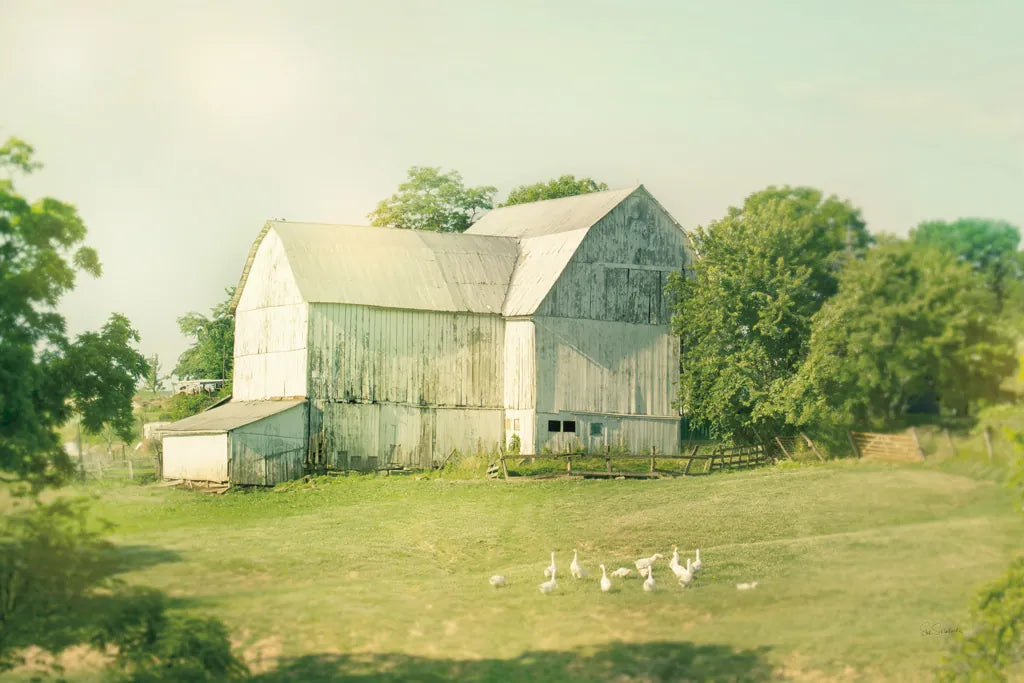 Farm Morning III by Sue Schlabach. SKU 27058i. Archival Giclee Fine art print for wall decor.