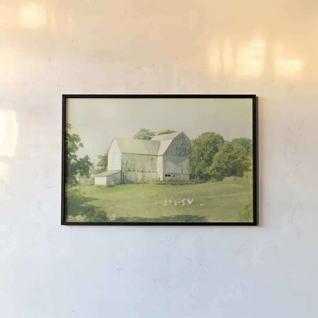 Farm Morning III by Sue Schlabach. shown as a paper print in a black flame. Available as a archival giclee rolled canvas, fine art paper, or poster print. SKU 27058i.