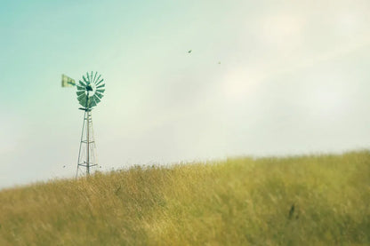 Farm Morning IV by Sue Schlabach. SKU 27059i. Archival Giclee Fine art print for wall decor.