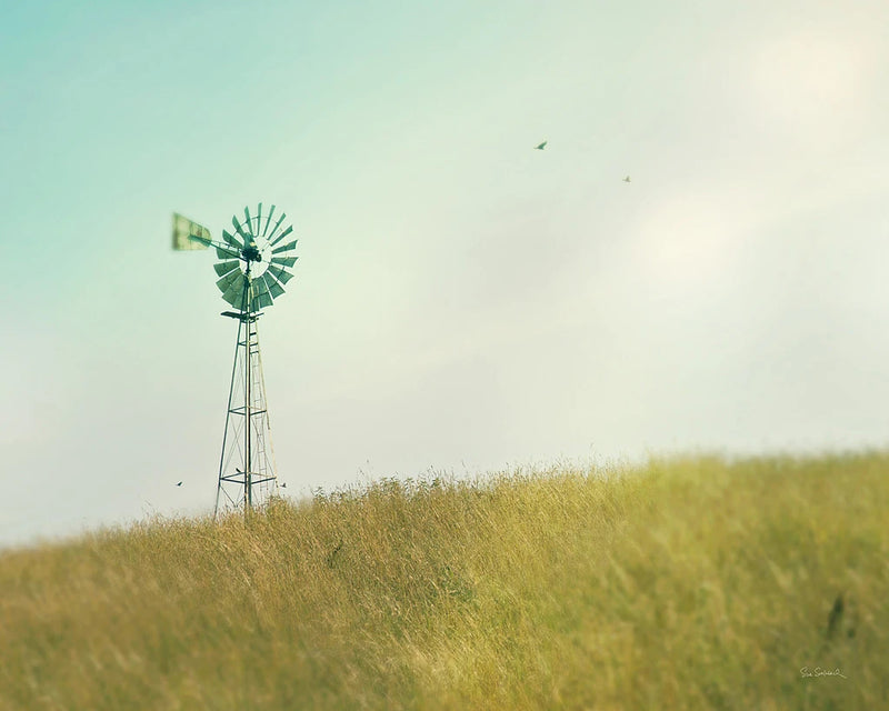 Farm Morning IV Crop by Sue Schlabach