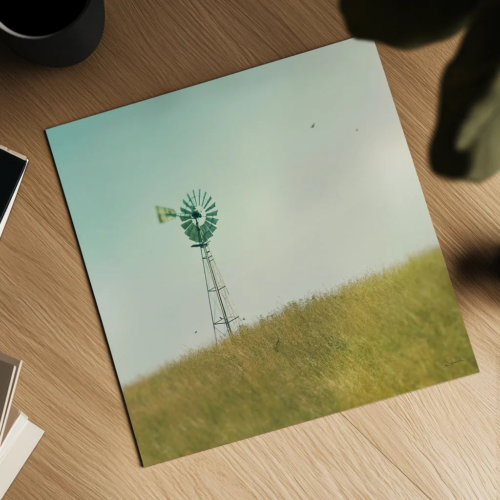 Farm Morning IV Square by Sue Schlabach. Shown as a detailed flat fine art print, highlighting archival giclee quality. Available as an archival giclee rolled canvas, fine art paper, or poster print. SKU 27059a.