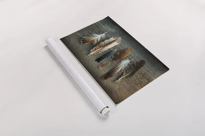 Feather Collection I by Sue Schlabach. shown as a rolled paper print. Available as archival giclee rolled canvas, fine art paper, or poster print. SKU 22492i.