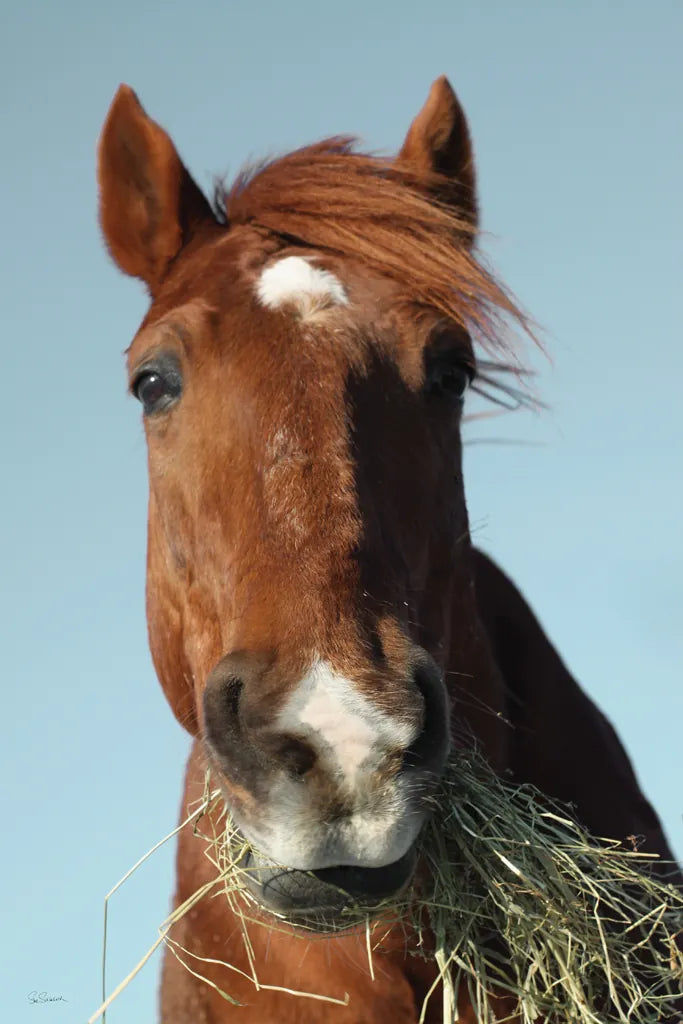 Feeding Time by Sue Schlabach. SKU 58270h. Archival Giclee Fine art print for wall decor.