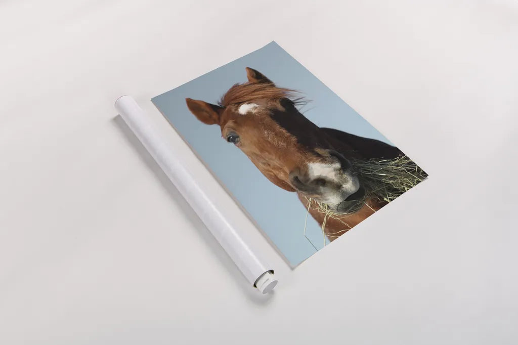 Feeding Time by Sue Schlabach. shown as a rolled paper print. Available as archival giclee rolled canvas, fine art paper, or poster print. SKU 58270h.