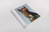 Feeding Time by Sue Schlabach. shown as a rolled paper print. Available as archival giclee rolled canvas, fine art paper, or poster print. SKU 58270h.