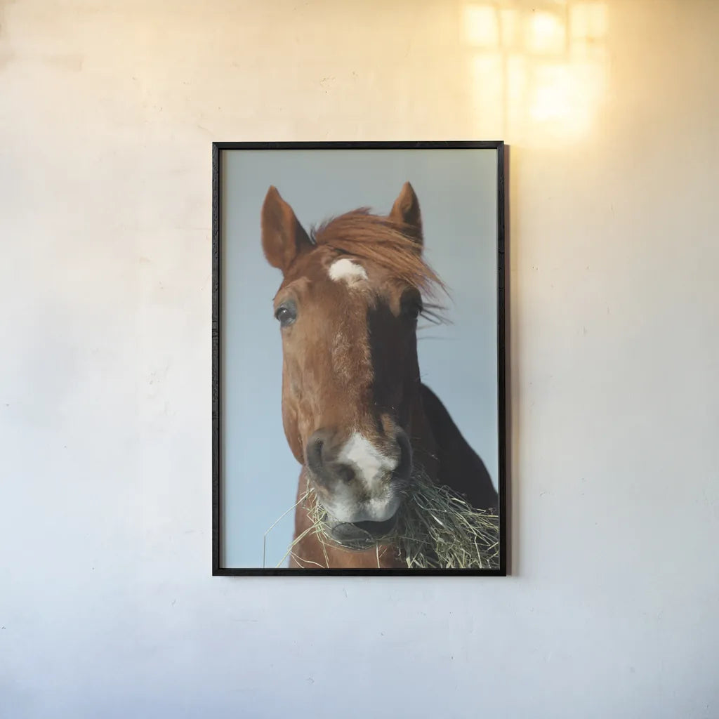 Feeding Time by Sue Schlabach. shown as a paper print in a black flame. Available as a archival giclee rolled canvas, fine art paper, or poster print. SKU 58270h.