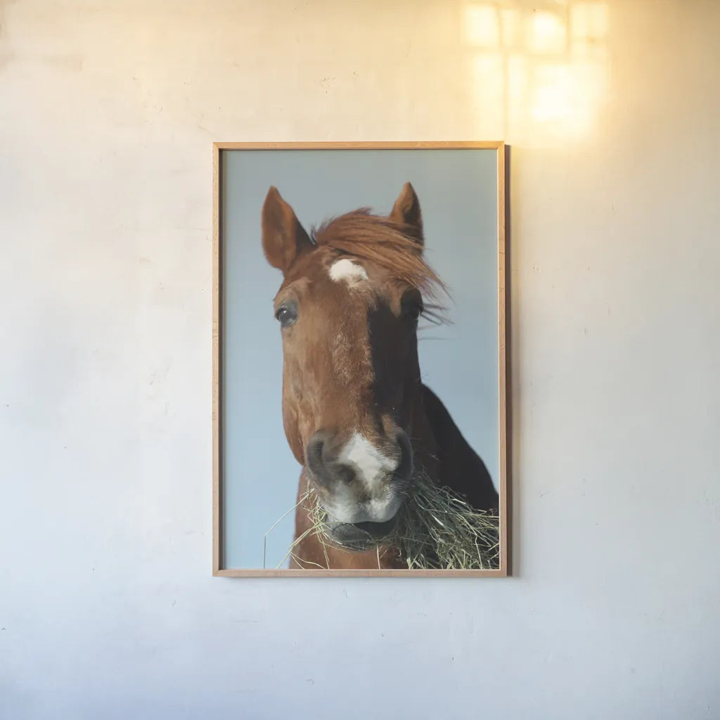 Feeding Time by Sue Schlabach. shown as a paper print in a natural frame. Available as a archival giclee rolled canvas, fine art paper, or poster print. SKU 58270h.