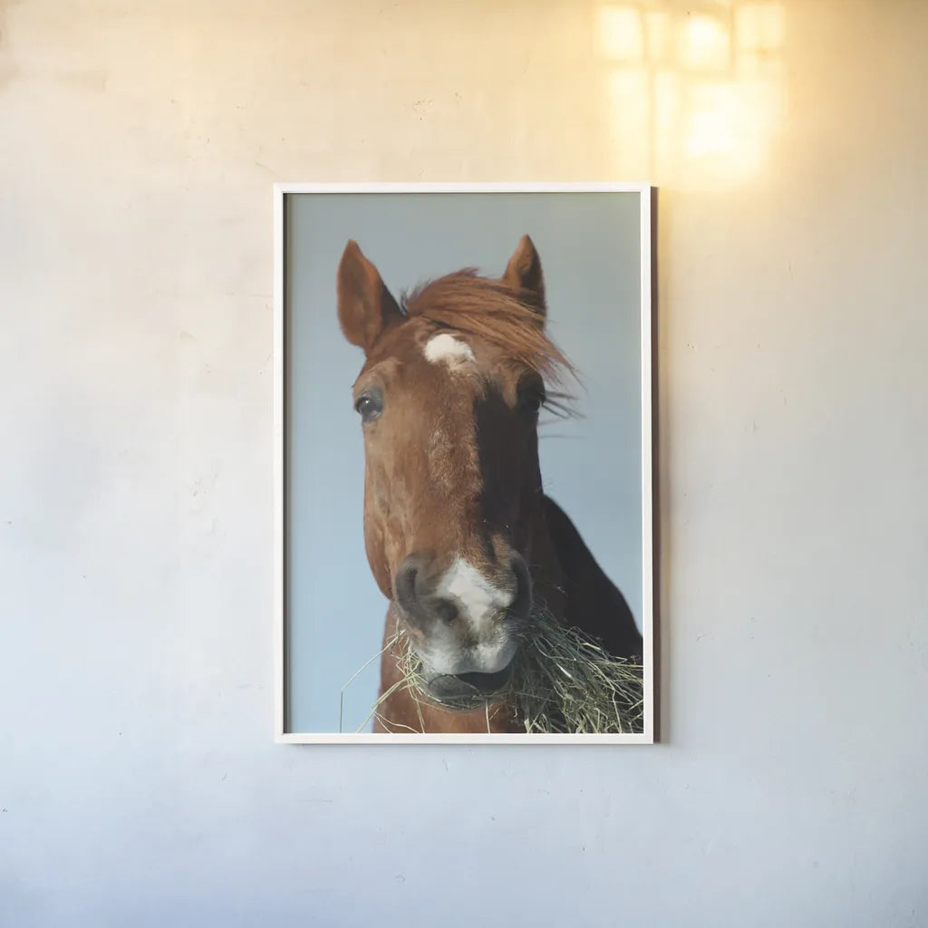Feeding Time by Sue Schlabach. shown as a paper print in a white frame. Available as a archival giclee rolled canvas, fine art paper, or poster print. SKU 58270h.