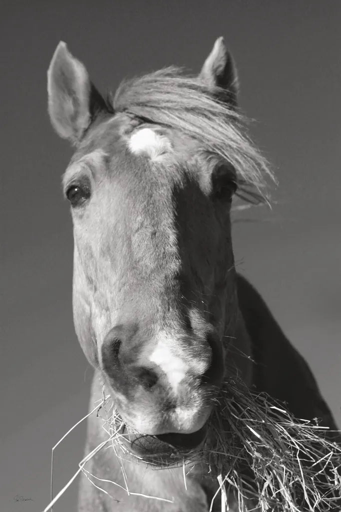 Feeding Time v2 by Sue Schlabach. SKU 58272h. Archival Giclee Fine art print for wall decor.