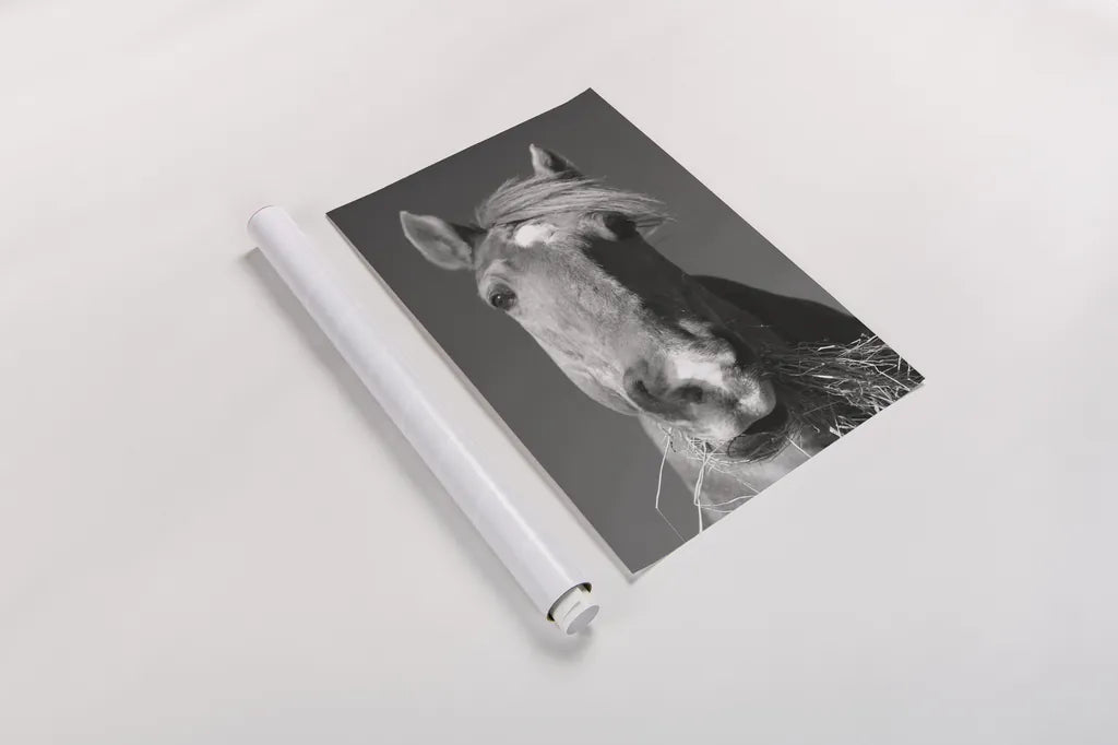 Feeding Time v2 by Sue Schlabach. shown as a rolled paper print. Available as archival giclee rolled canvas, fine art paper, or poster print. SKU 58272h.